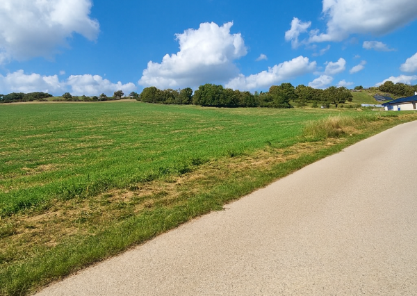 tenus Reality: Ponúka Stavebný pozemok 1054 m² v Podbranči – časť Majeríčky