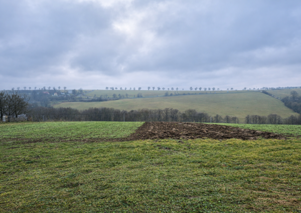 tenus Reality - Predaj ovocného sadu s poľnohospodárskym pozemkom