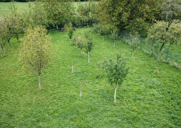 tenus Reality – Ovocný sad v tichej lokalite Svrčkov jarok