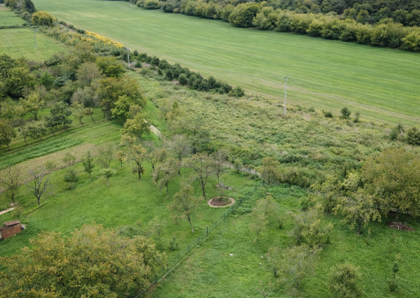 tenus Reality – Ovocný sad v tichej lokalite Svrčkov jarok